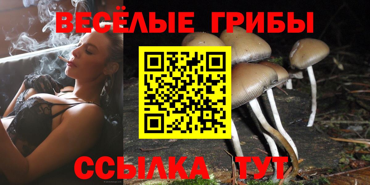 Галлюциногенные грибы ЛСД Курск
